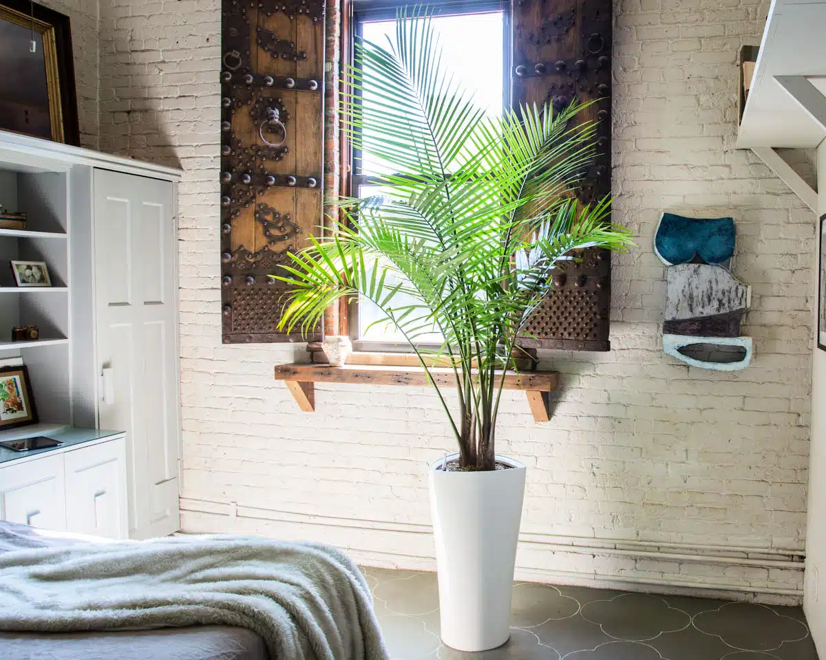 best plants for bedroom Cozy modern living room with indoor plant in white pot, decorative metal wall art, and soft grey throw on sofa beside white brick wall