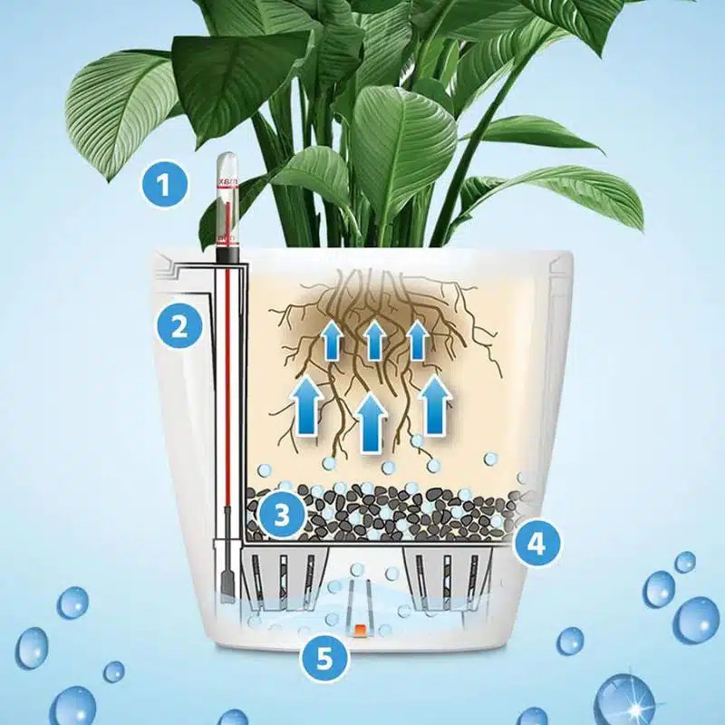 Buy plants potted in self-watering planters – delivery in NYC Image of self-watering planter and plant roots