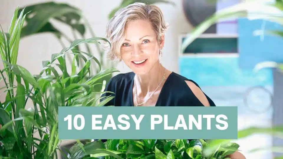 10 easy plants for beginners