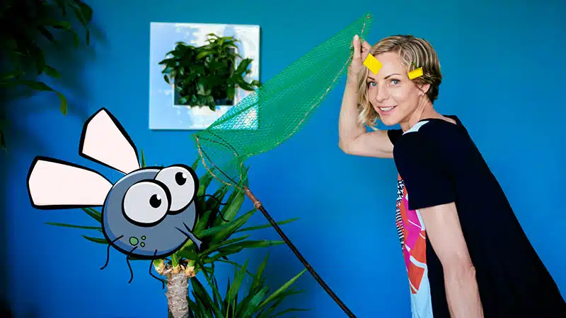 how to get rid of gnats in plants