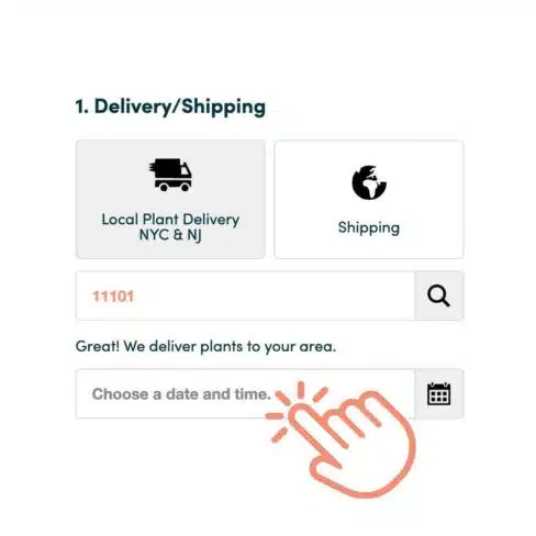 Schedule plant delivery in New York – plant shop NYC A screenshot of plant delivery scheduling page in NYC