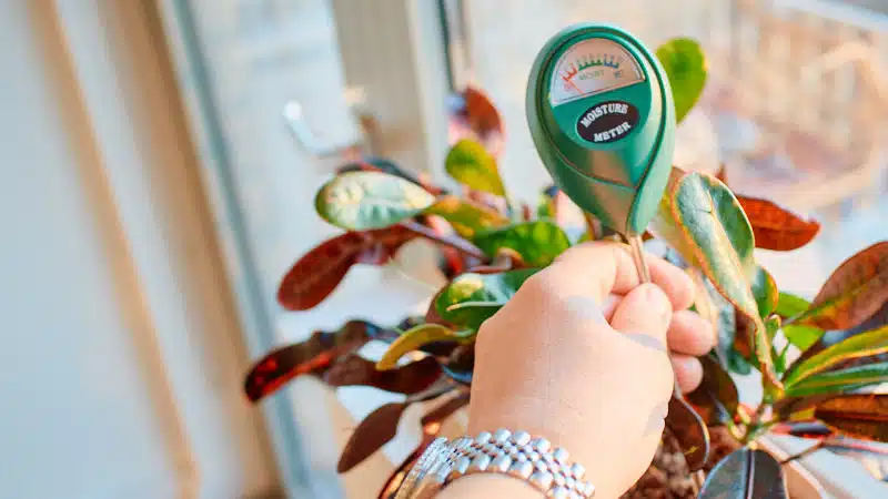 soil-moisture-meter_2